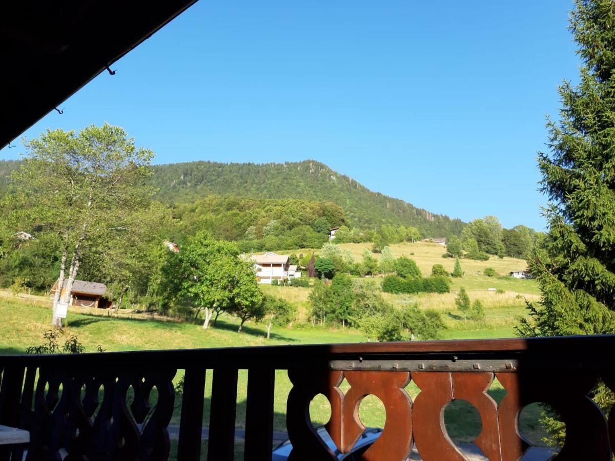 Chalet Tante Emma Vacheresse 외부 사진